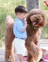 费用低的泰国三代试管婴儿,附费用清单!