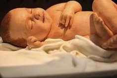 选择长方案促排适合卵子提前排出的情况吗