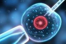 三代试管婴儿的优缺点是什么？适合的人群有哪些？