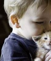 粉碎大豆异黄酮能丰胸的谣言，真实作用原来是...