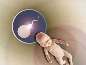 2026年想去荆州市做试管婴儿需要准备哪些事？详细收费明细一览